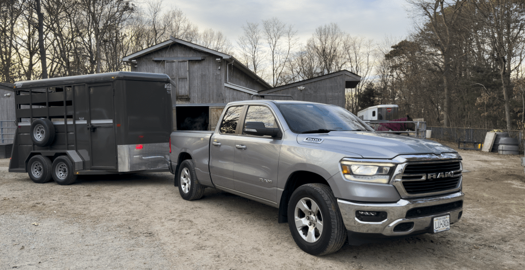 Horse Trailered by Truck